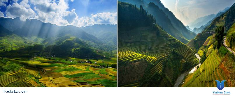 Ruộng Bậc Thang Mù Cang Chải 2